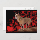 4 lbs Pure Love Briefkaart (Voorkant / Achterkant)