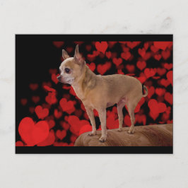 4 lbs Pure Love Briefkaart