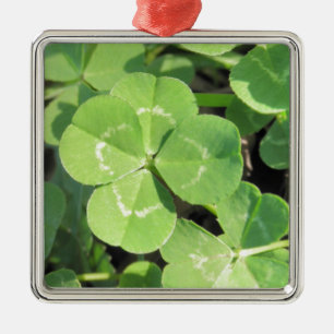 4 Leaf Clover Good Luck Charm Foto Metalen Ornament
