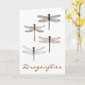 4 libellen soorten kaart (Gele Bloem)
