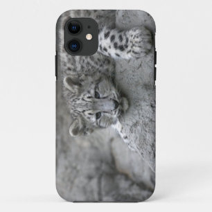 4 maanden oude sneeuwluipaardwelp gedrapeerd over Case-Mate iPhone case