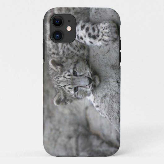 4 maanden oude sneeuwluipaardwelp gedrapeerd over Case-Mate iPhone case (Achterkant)
