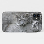 4 maanden oude sneeuwluipaardwelp gedrapeerd over Case-Mate iPhone case (Achterkant (horizontaal))