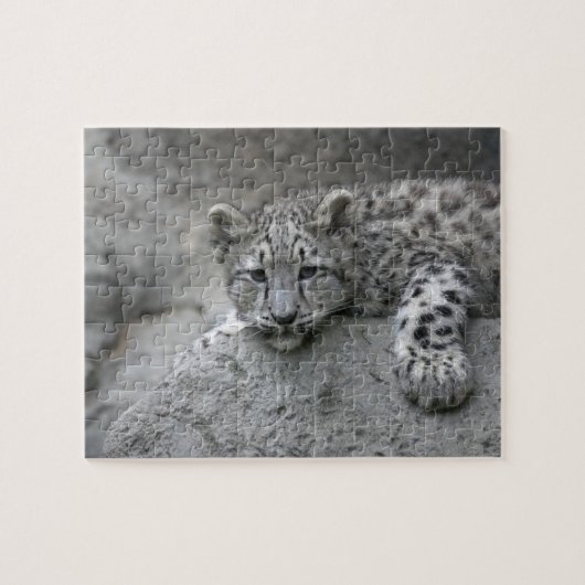 4 maanden oude sneeuwluipaardwelp gedrapeerd over legpuzzel (Horizontaal)