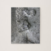 4 maanden oude sneeuwluipaardwelp gedrapeerd over legpuzzel (Verticaal)