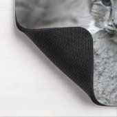 4 maanden oude sneeuwluipkuil over een rots muismat (Hoek)