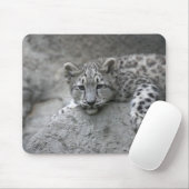 4 maanden oude sneeuwluipkuil over een rots muismat (Met muis)