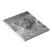 4 maanden oude sneeuwluipkuil over een rots notitieblok (Schuin)