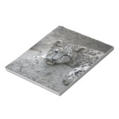 4 maanden oude sneeuwluipkuil over een rots notitieblok (Linkerzijde)