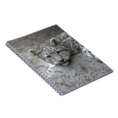 4 maanden oude sneeuwluipkuil over een rots notitieboek (Rechterzijde)