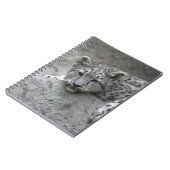 4 maanden oude sneeuwluipkuil over een rots notitieboek (Linkerzijde)