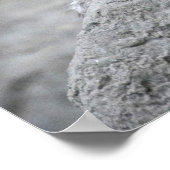 4 maanden oude sneeuwluipkuil over een rots poster (Hoek)