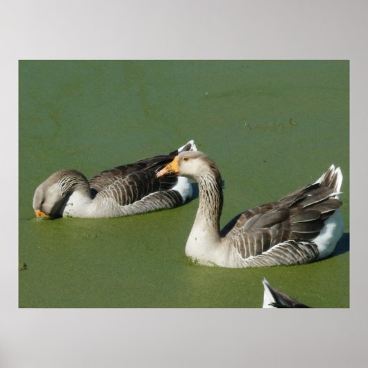 4 maart (51) Canvas Poster (Voorkant)