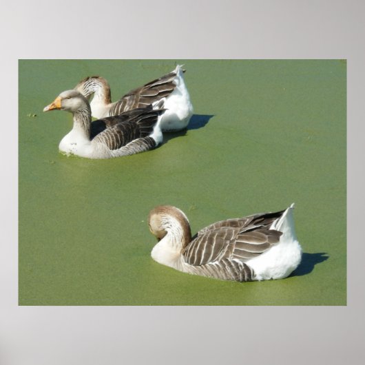 4 maart (54) Poster (Voorkant)