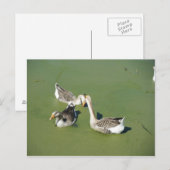 4 maart (59) Briefkaart (Voorkant / Achterkant)