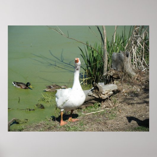 4 maart (62) Canvas Poster (Voorkant)