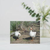 4 maart (63) Briefkaart (Staand voorkant)