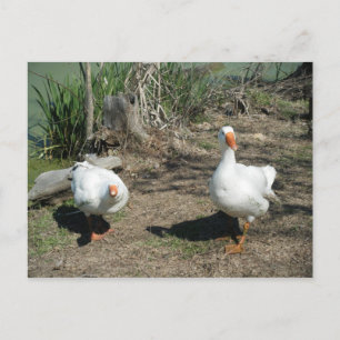 4 maart (63) Briefkaart