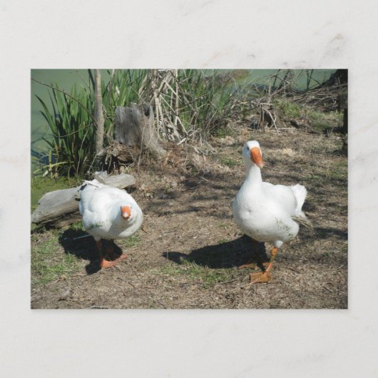 4 maart (63) Briefkaart (Voorkant)