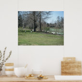 4 maart: Park Ducks Poster (Keuken)