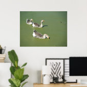 4 maart_Swamp Ducks #2 Poster (Thuiskantoor)