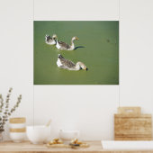 4 maart_Swamp Ducks #2 Poster (Keuken)