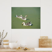 4 maart_Swamp Ducks Canvas Poster (Keuken)