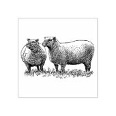 4 maten rubber stempel antiek afbeelding Schaap (Afrduk)