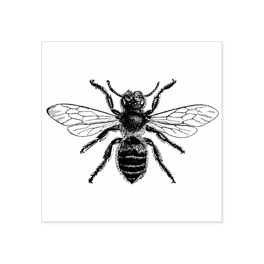 4 maten rubber stempel met retro afbeelding Bee (Afrduk)