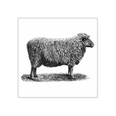 4 maten rubber stempel vintage afbeelding Schaap (Afrduk)