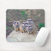 4 Meerkats Peering Mousepad Muismat (Met muis)