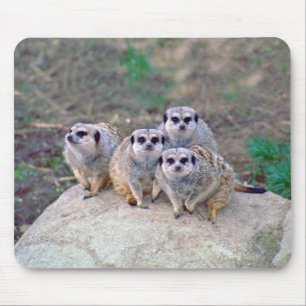 4 Meerkats Peering Mousepad Muismat