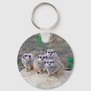4 Meerkats Peering Sleutelhanger