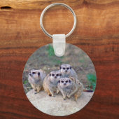 4 Meerkats Peering Sleutelhanger (Voorkant)