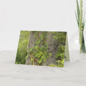 "4 ooit?" BREAK-UP wenskaart Kaart (Voorkant)