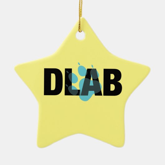 4 Paws Adrift/DLAB keramisch Ornament (Voorkant)