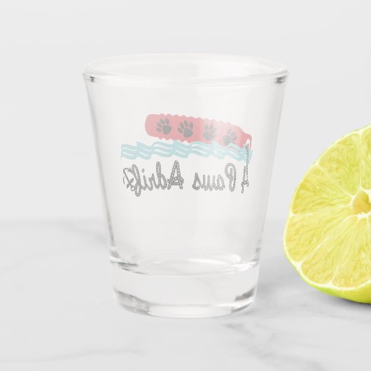 4 poten drift schot glas (Achterkant)