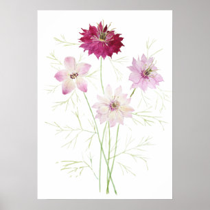 4 roze magenta nigella bloemen wilde bloem poster