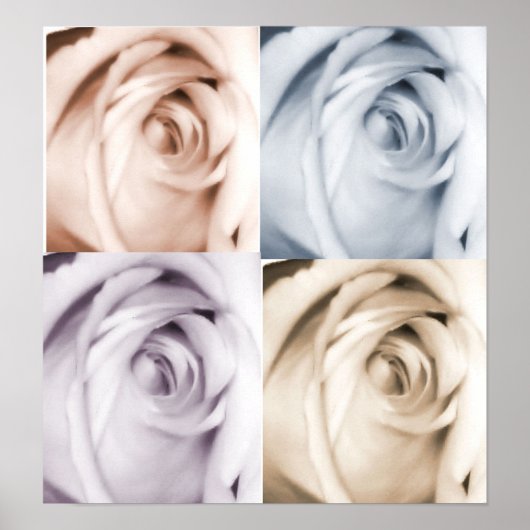 4 rozen afdrukken poster (Voorkant)