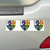 4 s, Ierland Bumpersticker (Op auto)