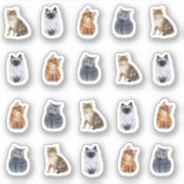 4 Schattigee katten 20 Stickers (Voorkant)
