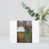 4 Seizoenen in de Sacred Grove Briefkaart (Staand voorkant)