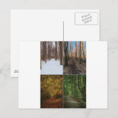 4 Seizoenen in de Sacred Grove Briefkaart (Voorkant / Achterkant)