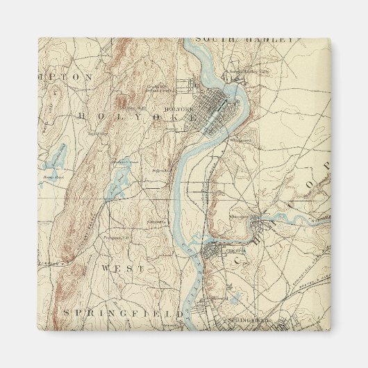 4 Springvelblad Magneet (Voorkant)