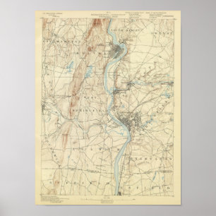 4 Springvelblad Poster