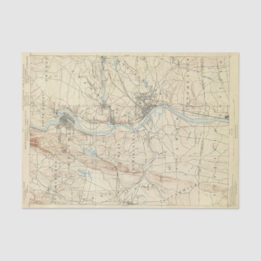 4 Springvelblad Tissuepapier (Voorkant)