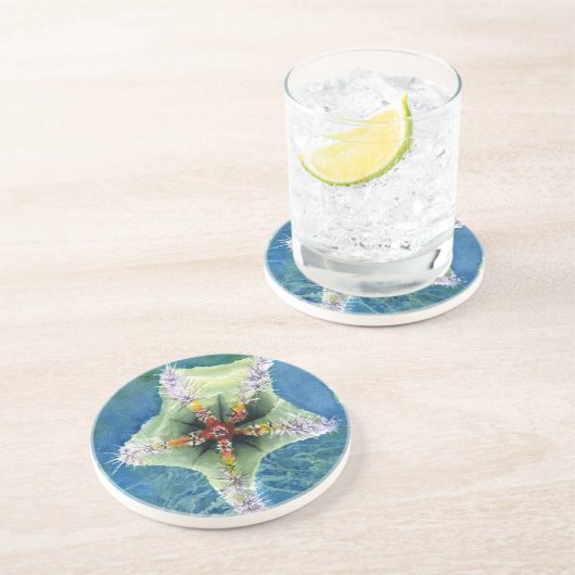 4 Star Fish Onderzetter (Zijkant)