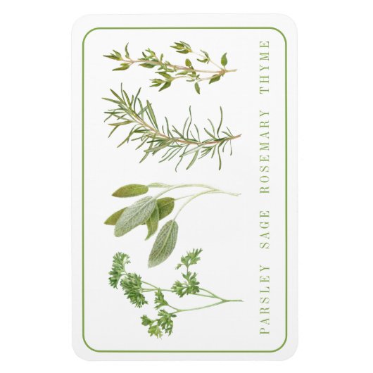 4 VERSE KRUIDEN 4x6 Flexibele Magneet (Verticaal)