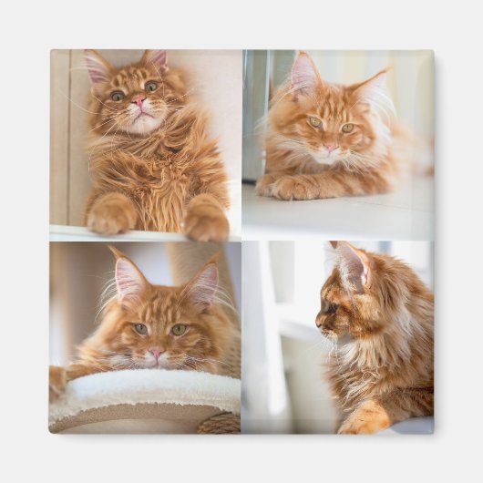 4 Vier foto collage vol Magneet (Voorkant)