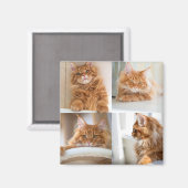 4 Vier Foto Collage Volledig Magneet (Voorkant / Achterkant)